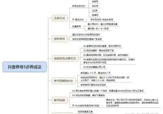 抖音运营策划案