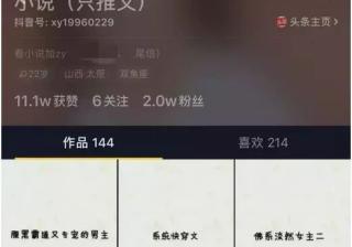 如何利用抖音推广小说项目