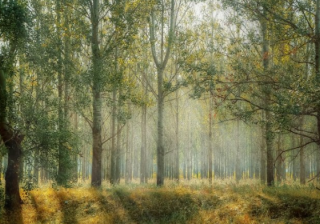 快手代理商是哪家？快手现在投放广告需要多少钱？