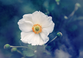 快手代理商是哪家？快手现在跑培训返点多少？