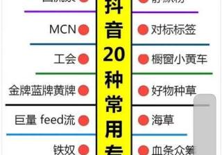 抖音运营篇：上热门的八大类以及专业术语你知道几种，标签 ...