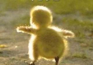 苏宁茬价京东：618还是618，价格战早已不是简单价格战