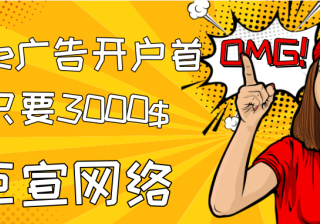 巧妙设置Google广告投放系列，取得理想宣传成效《01》