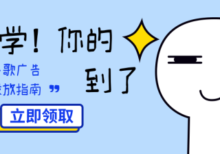 谷歌广告付款经理帐号：定义