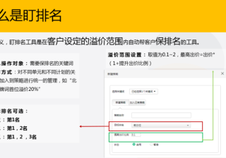神马广告卧龙推广后台盯排名工具如何使用，作用是什么