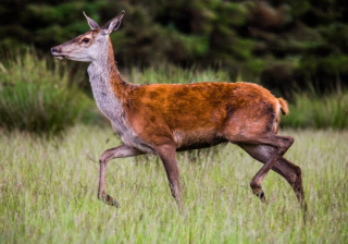 万能钥匙广告投放价格按照cpc多少钱？万能钥匙电话是多少？