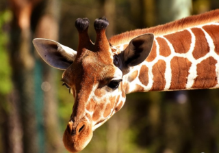 万能钥匙信息流多少钱代运营？万能钥匙跑二类电商效果好吗？