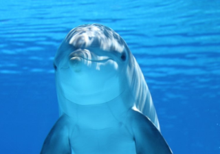 万能钥匙新闻板块广告投放成本是多少?万能钥匙广告怎么投放？