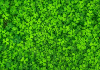 万能钥匙代理商是哪家？万能钥匙现在跑无机酸返点多少？