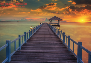 陌陌推广：陌陌产品分析报告 ！