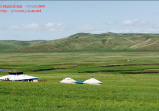 解密陌陌推广优化技巧，玩转泛娱乐社交信息流广告！