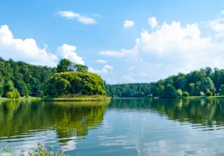 网易新闻广告20年财报增长惊人！