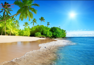 陌陌代运营加速回稳复苏 二季度营收超预期 社交基本盘依然稳固