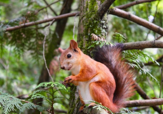 陌陌现在跑酒店管理返点多少？陌陌现在跑酒店管理返点多少？