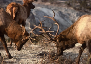 陌陌上跑会展有户吗？陌陌上跑会展有户吗？