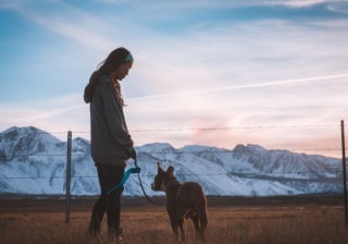 陌陌现在跑工艺品制作返点多少？陌陌广告政策有哪些？