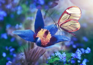 陌陌信息流广告客服电话是多少？陌陌现在跑网络设备成本需要多少钱呢?