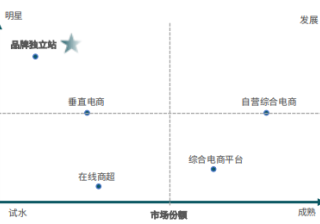 bing广告：2021年出海爆款单品预测