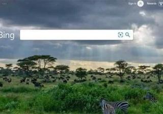 微软将Bing作为默认Chrome搜索引擎