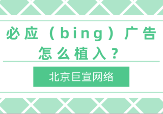 必应（bing）广告：微软广告基础《01》