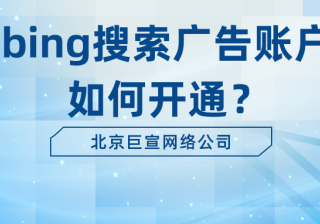 bing广告投放之动态搜索广告