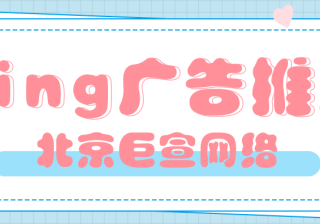 必应广告中的免责声明