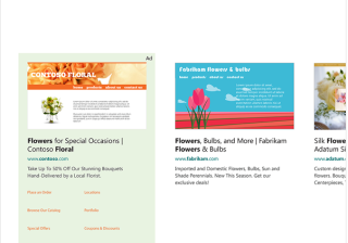 什么是必应搜索广告网络？