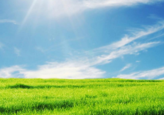 第一次投放网络广告，神马广告360广告这种真的有效果吗？