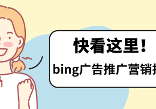 关于必应广告推广附加信息的问题