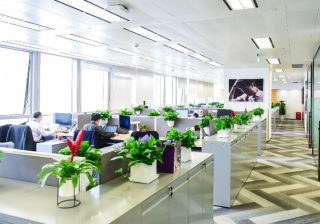 最贵的男演员竟然在神马搜索广告也看到了！