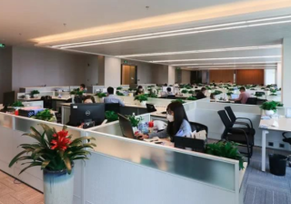 很多广告效果都不好，你是否尝试投放神马搜索？