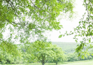 在vivo投放广告找哪家公司？他家有什么政策呢？