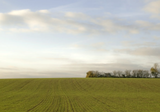 在vivo平台怎么投放信息流广告？