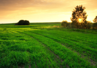 在vivo平台怎么做广告投放？投放广告有什么技巧吗？