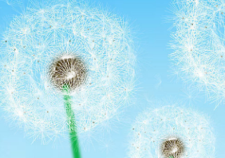 facebook信息流开户怎么收费？信息流开户有哪些政策？