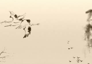 facebook跑母婴产品广告的公司有哪些?广告账户如何开通？