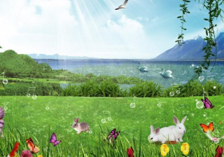 电商行业在vivo推广信息流有什么投放技巧？