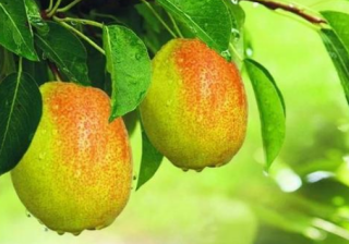 祛湿广告如何在vivo推广加粉开户？