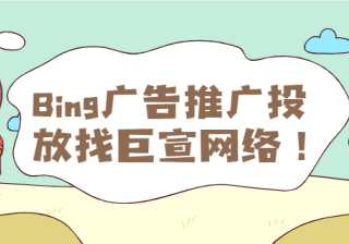 Bing广告再营销：定位之前访问过您网站的用户《01》