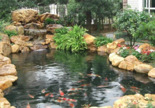 vivo跑食品行业广告效果好不好？需要什么资质？