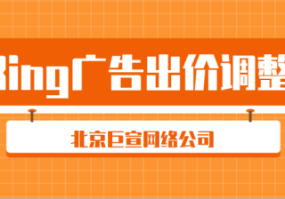 bing（必应）广告：我可以在我的微软广告商家​促销 Feed 文件中包含哪些内容？