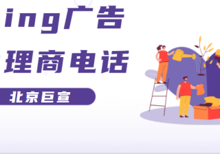 Bing广告投放了解您如何与拍卖洞察报告竞争
