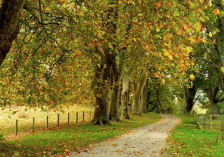 vivo推广案例有哪些，简单介绍一下