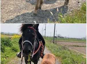 如何高效提升Facebook广告投放？facebook信息流开户多少钱?