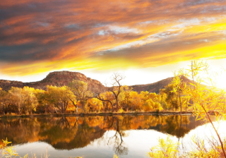 跑体育游戏在oppo推广找哪家公司好？