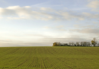 在广东​跑教育培训在oppo怎么推广开户？