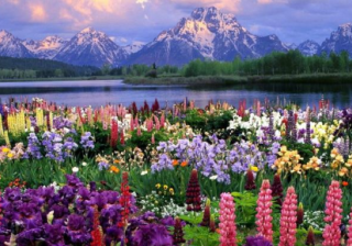 小说在oppo商店投放广告需要什么资质？