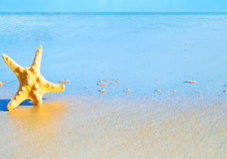 oppo信息流投放家具广告效果好吗?