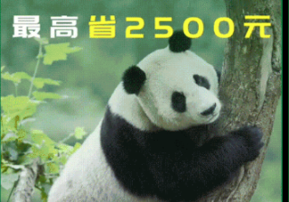 不同行业广告在OPPO的营销策略是怎样的？