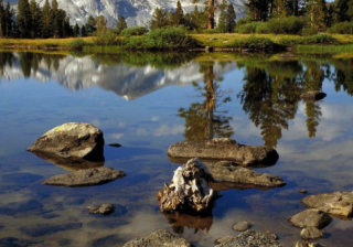 华为推广有什么政策？华为推广怎么开户？